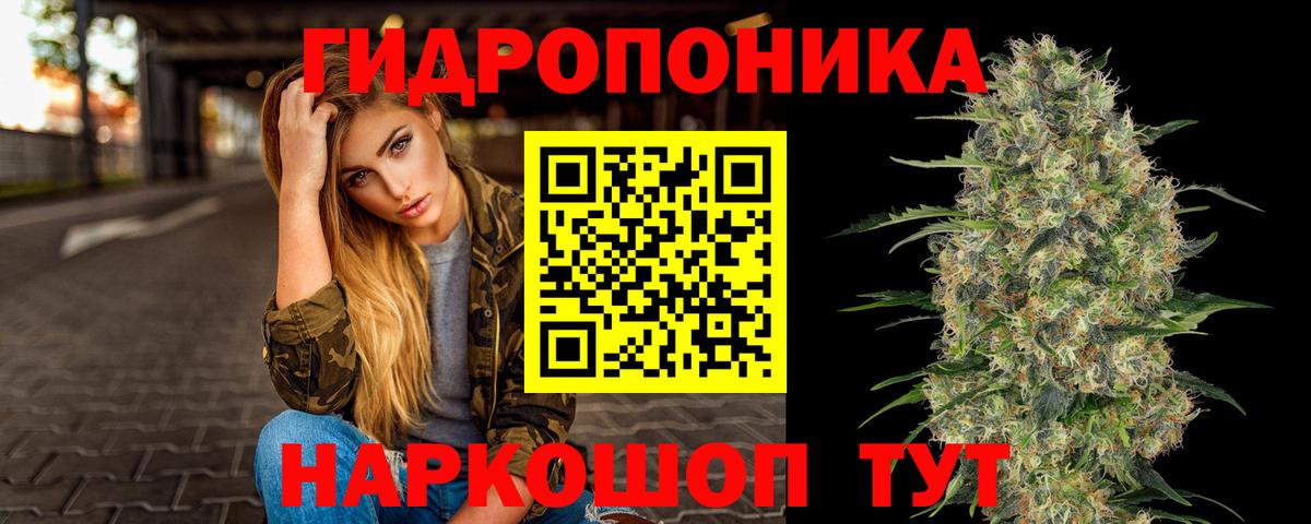 Каннабис конопля  Бошки марихуана марихуана  Вход с VPN  Шишки марихуана Bruce Banner  Бошки Шишки White Widow  Изобильный 