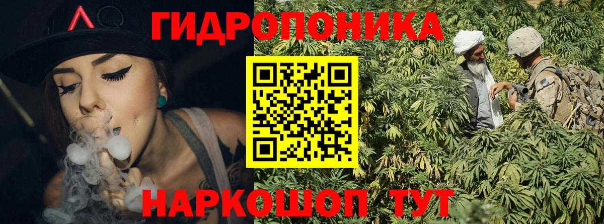 МАРИХУАНА сатива Изобильный